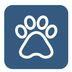 mascotas